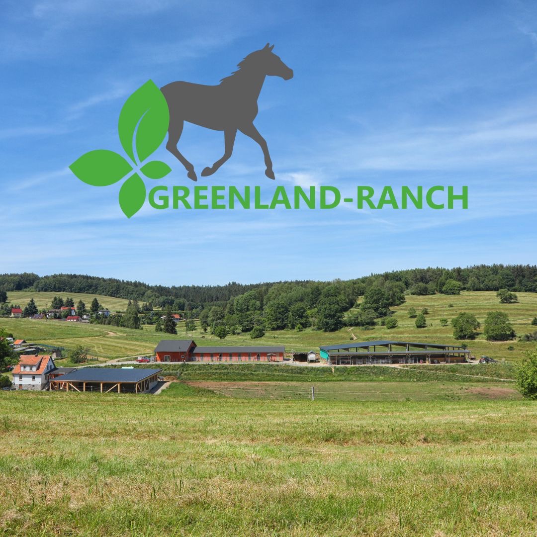 Ritt ins neue Jahr für 6-12 Jährige