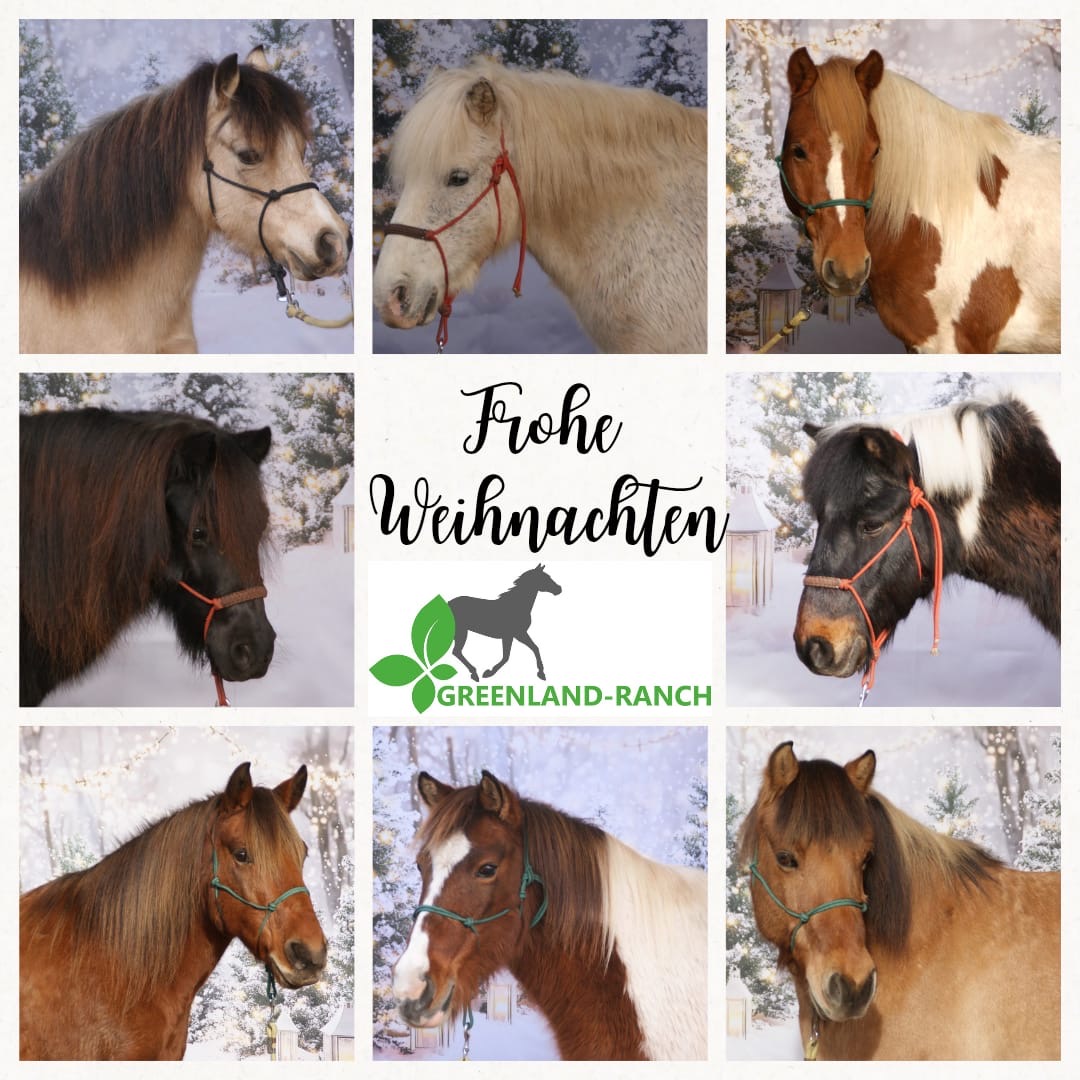 Weihnachten mit den Ponys 3-6 Jährige